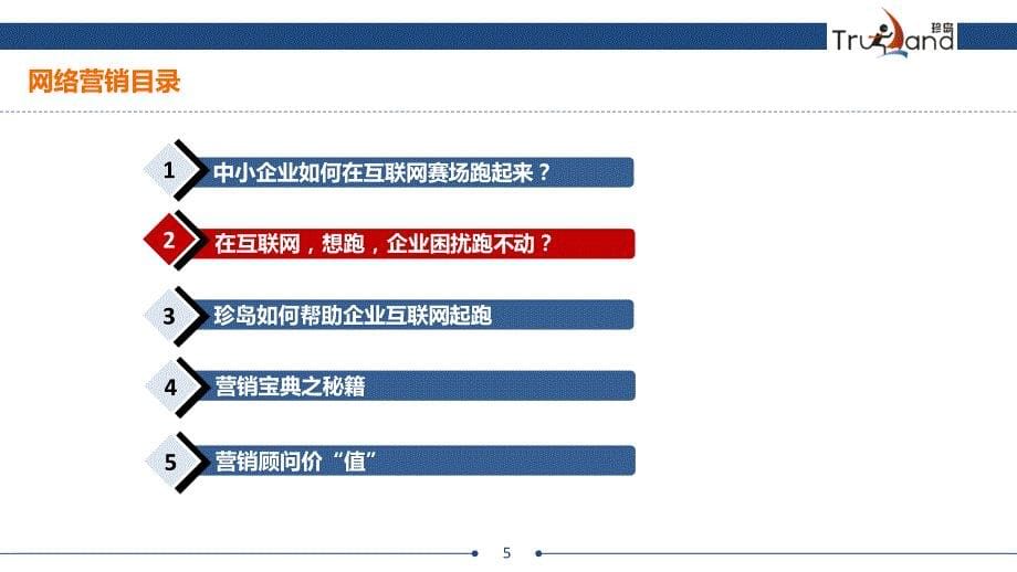 方案三：上海珍岛整合营销t云系统推广_第5页