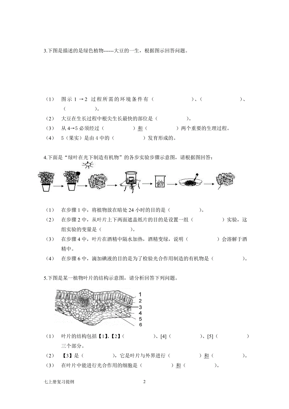 生物七年级上册复习资料(填空形式)_第2页