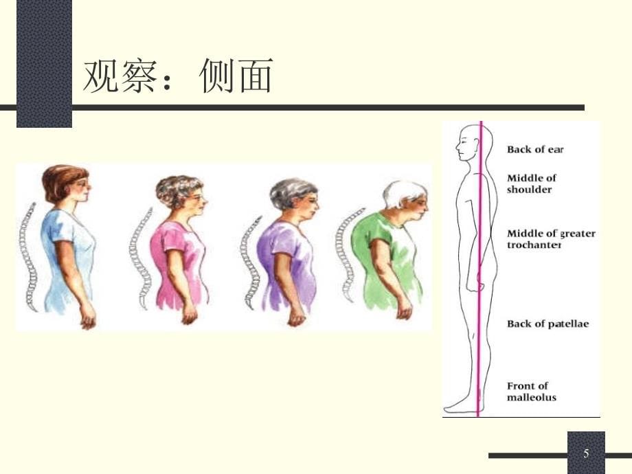 骨科康复功能评定_第5页