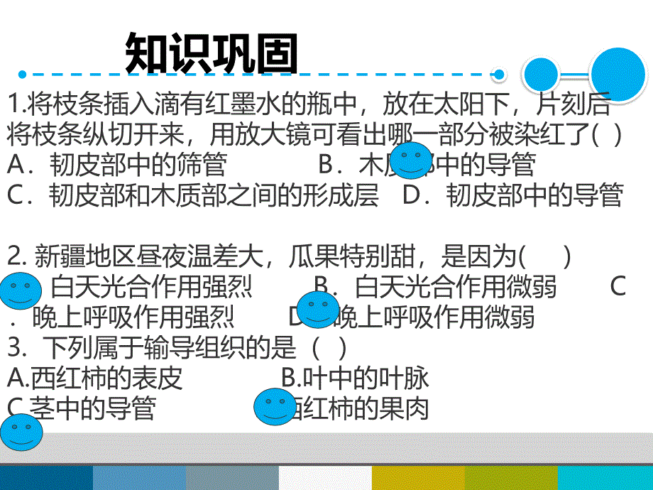 北师大版七年级生物上册6.1《种子萌发形成幼苗》课件_第2页