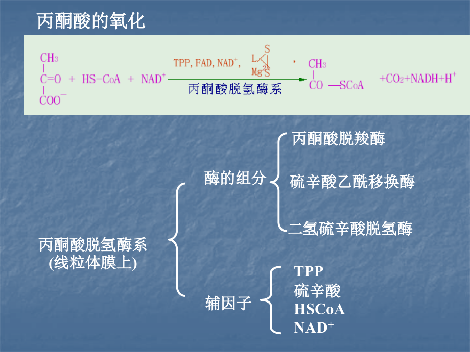 生物化学简明教程  第四版 第九章糖代谢(二)_第2页