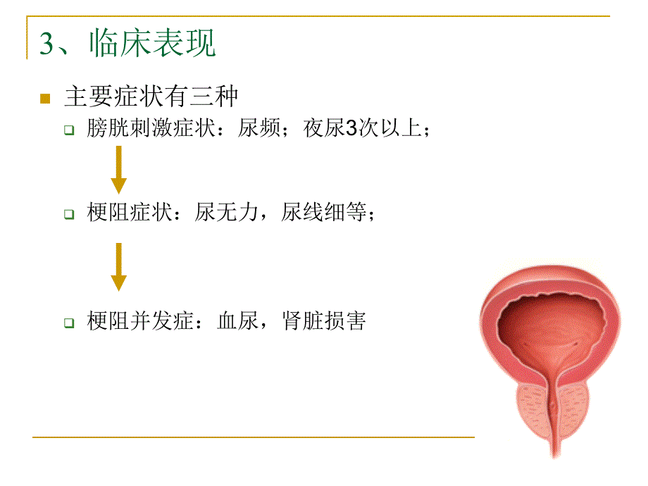 老年患者前列腺增生的药物治疗_第4页