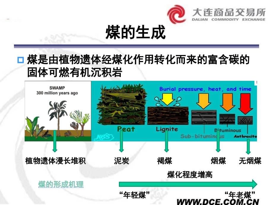 焦煤期货合约及规则介绍_第5页