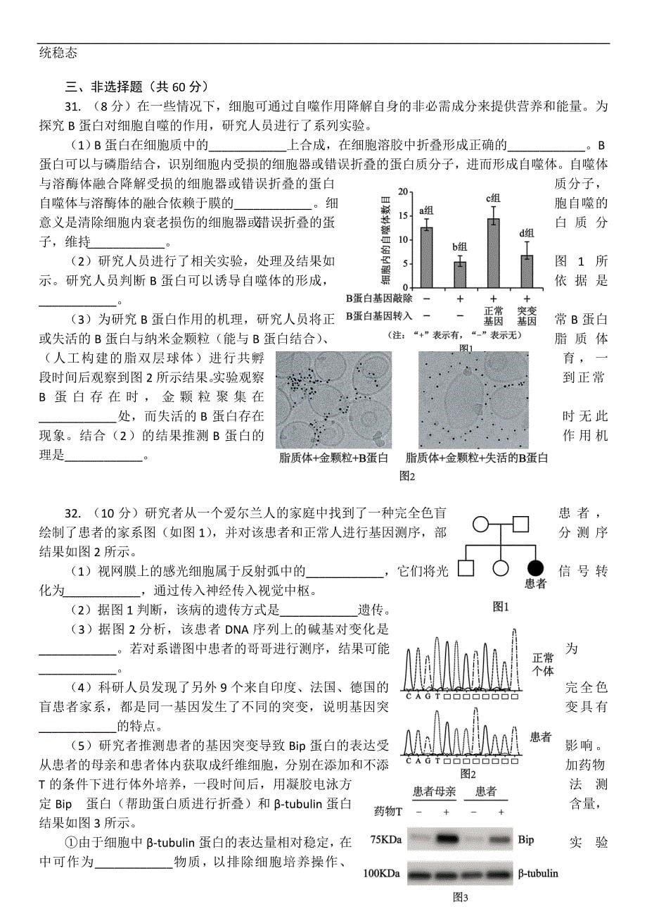 北京市海淀区2017届高三上学期期末考试生物试题及答案_第5页