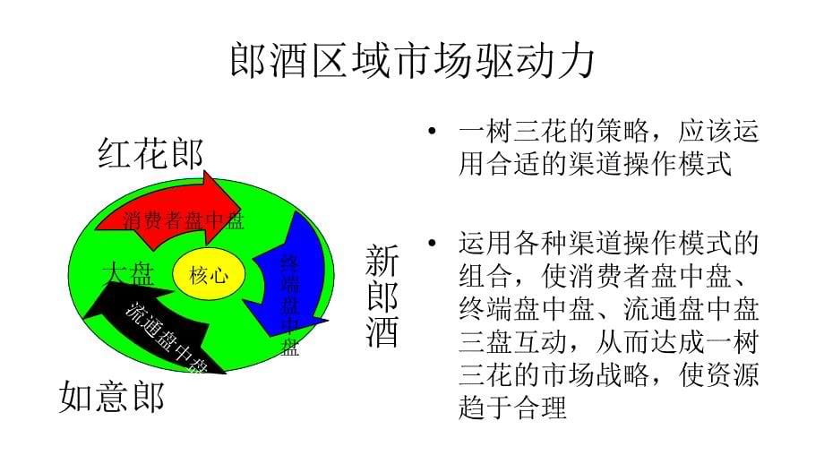 酒类区域市场操作模式_第5页