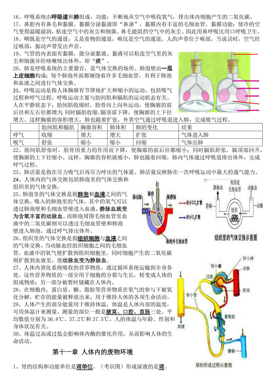 苏教版生物七下复习提纲_第3页