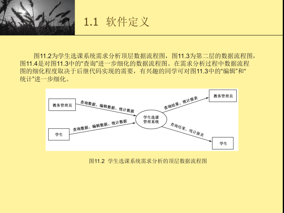 数据库应用系统的开发_第4页