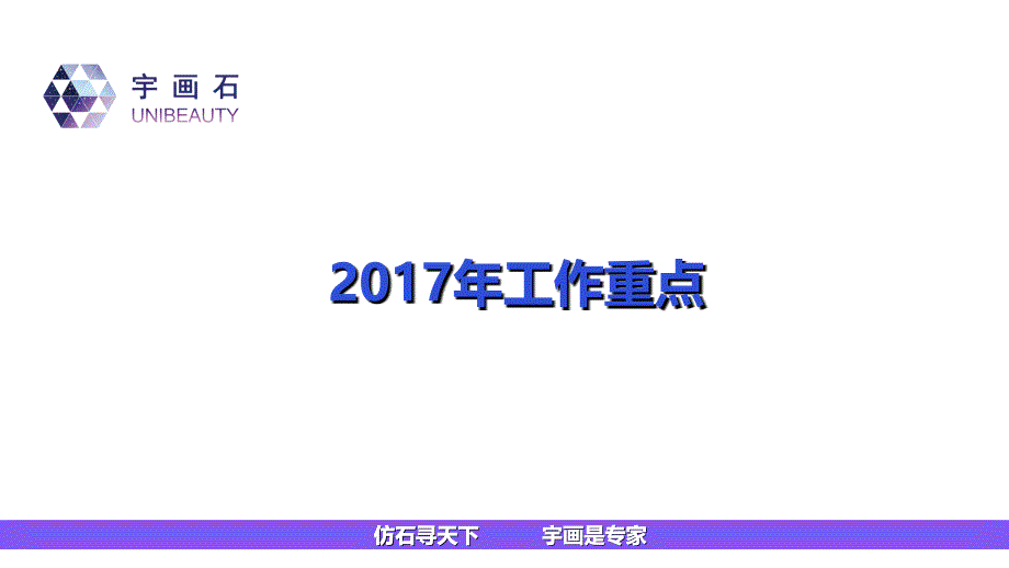 2017年工作计划重点_第1页