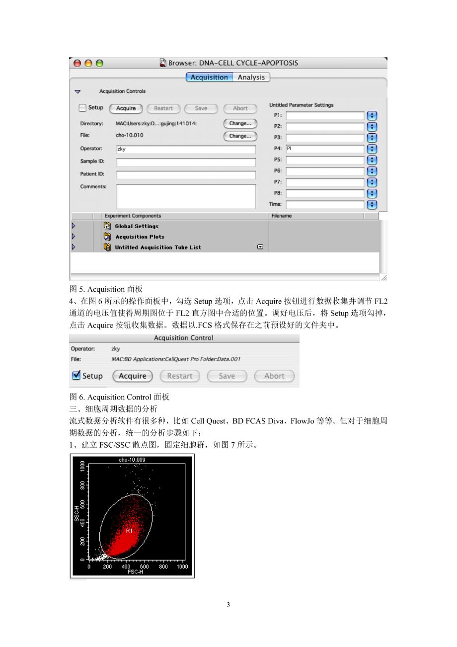 细胞周期的流式检测方法_第3页