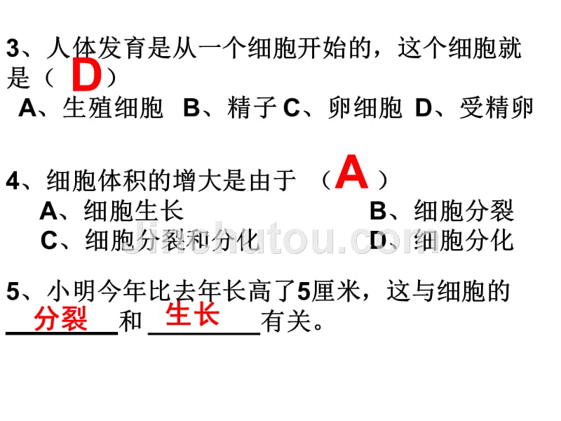 浙教版生物体的结构层次2_第2页