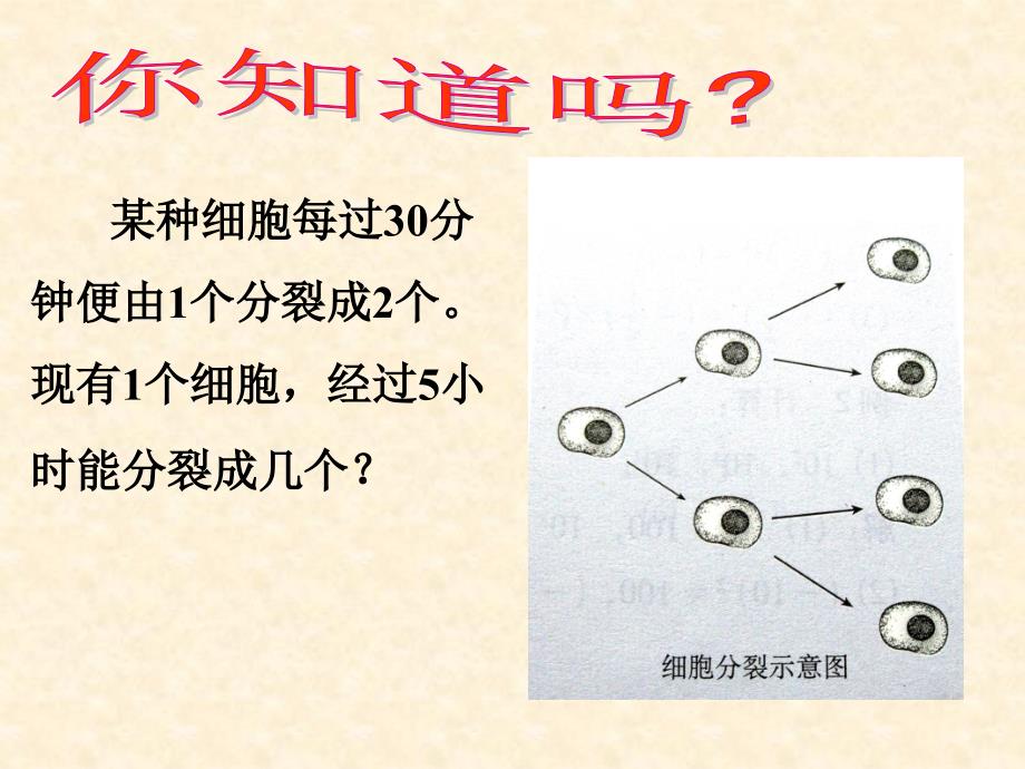 2.10有理数的乘方(一)_第2页