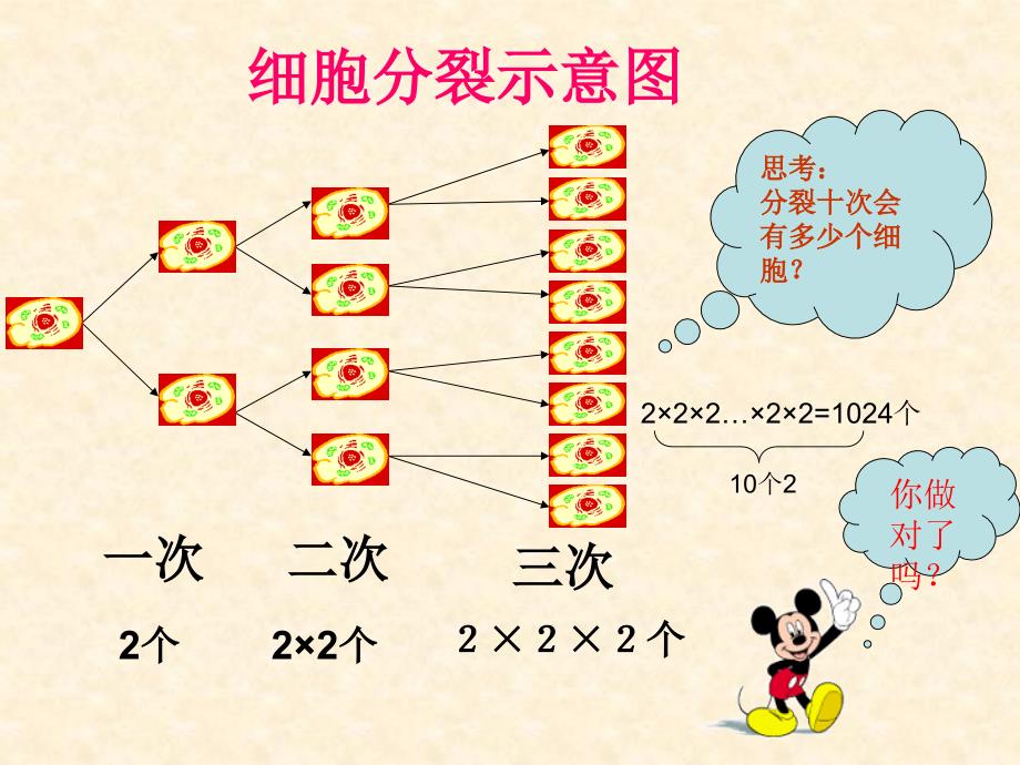 2.10有理数的乘方(一)_第3页