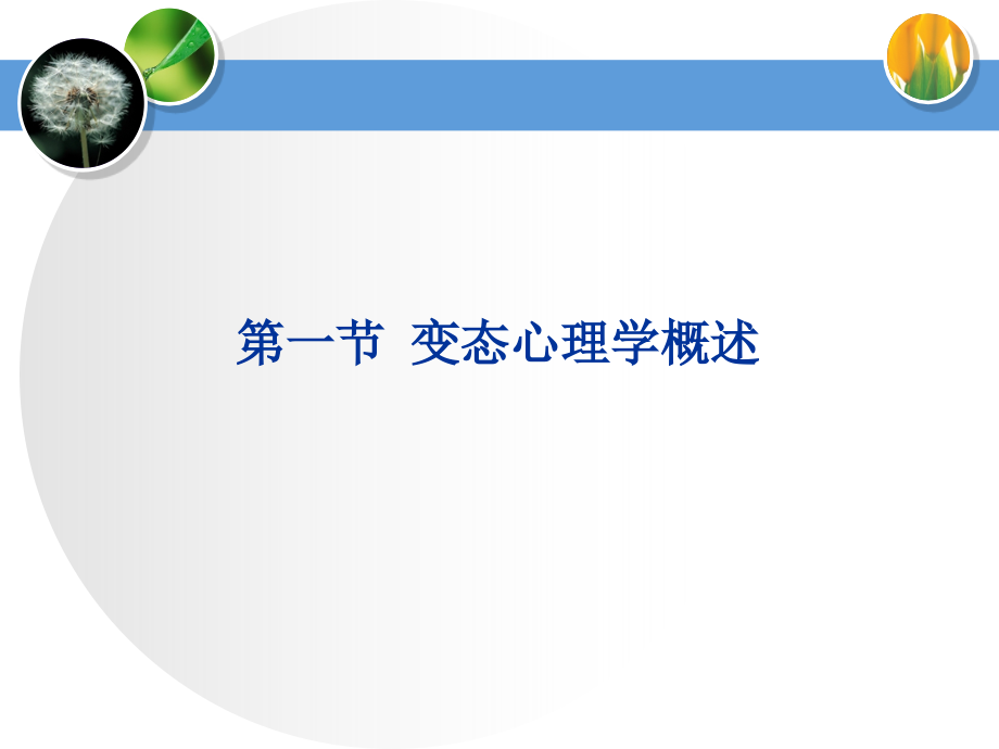 考试培训课件心理咨询师—变态心理学(15年)_第3页