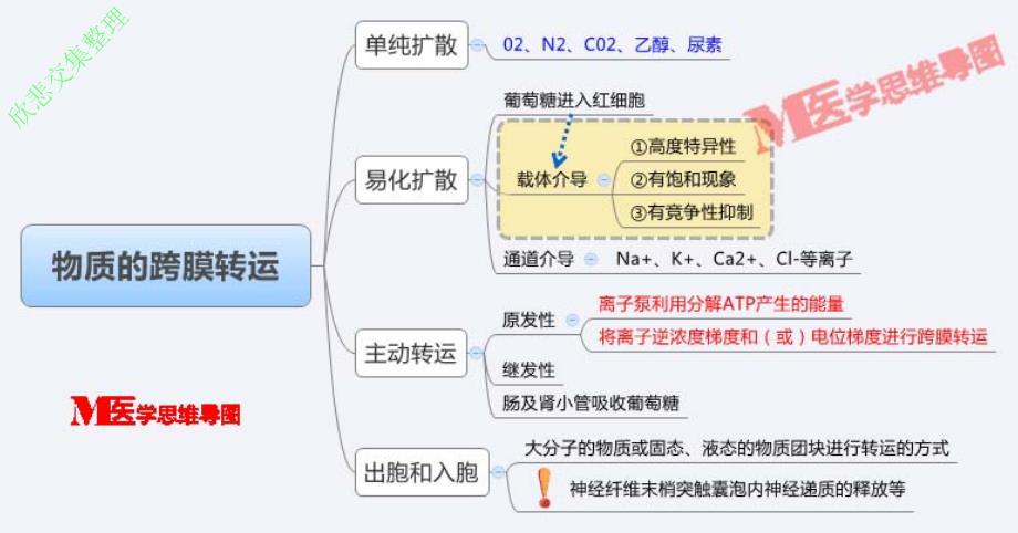 思维导图-生理学汇总_第1页