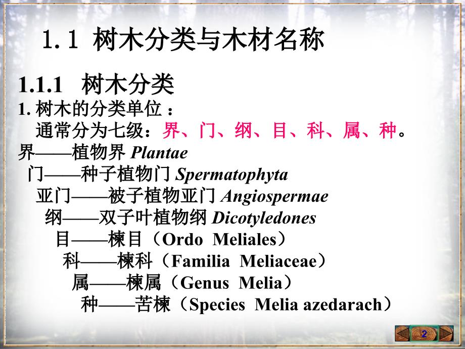 1.树木的生长和木材的形成_第2页