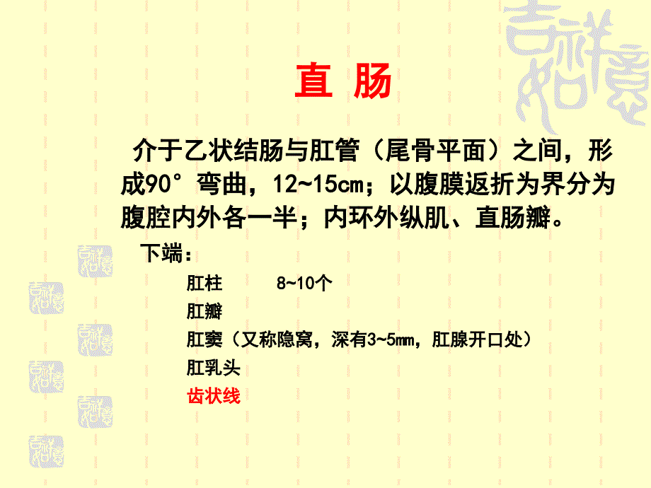 直肠肛管疾病患者的护理_第4页