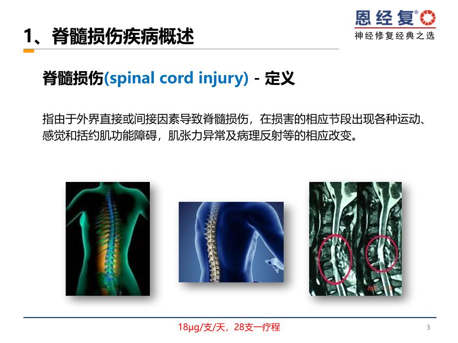 D-恩经复-脊髓损伤经典之选_第3页