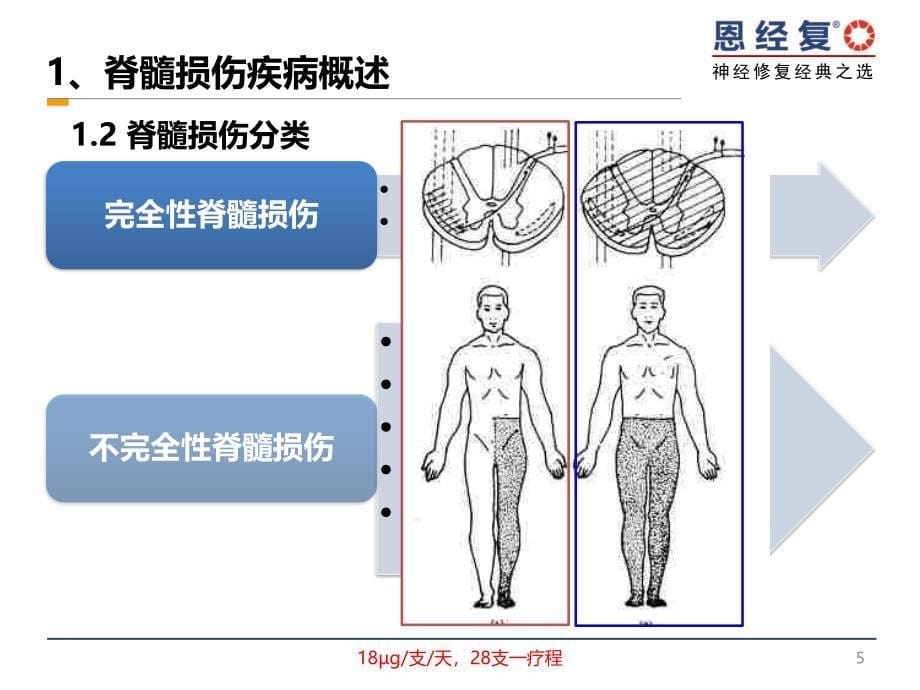 D-恩经复-脊髓损伤经典之选_第5页