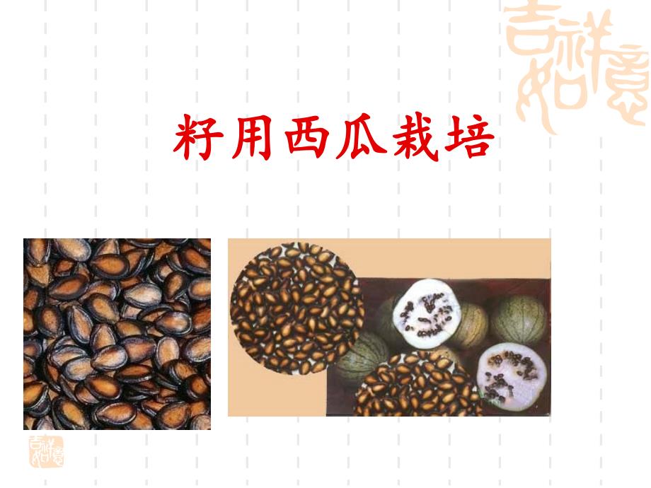 无籽用西瓜栽培_第1页