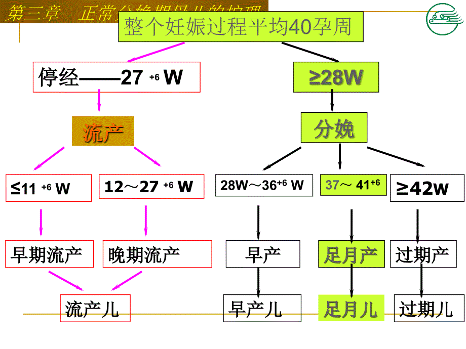 正常分娩期产妇的护理_第4页