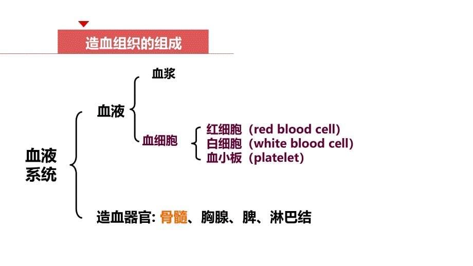血液和造血系统疾病总论_第5页