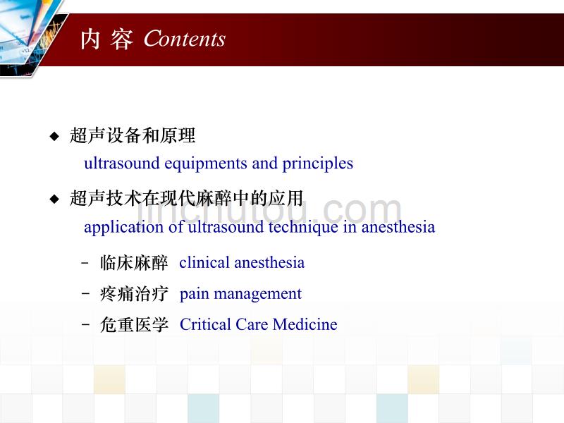 超声在麻醉和疼痛医学中的应用_第3页