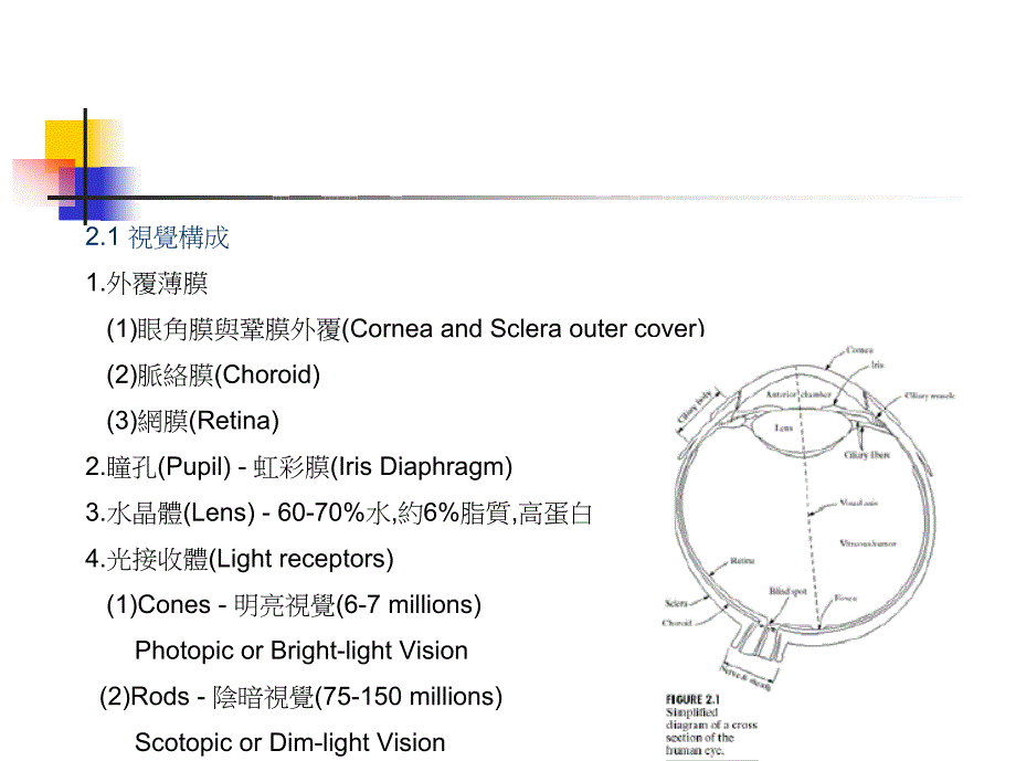 影像处理基本原理_第2页