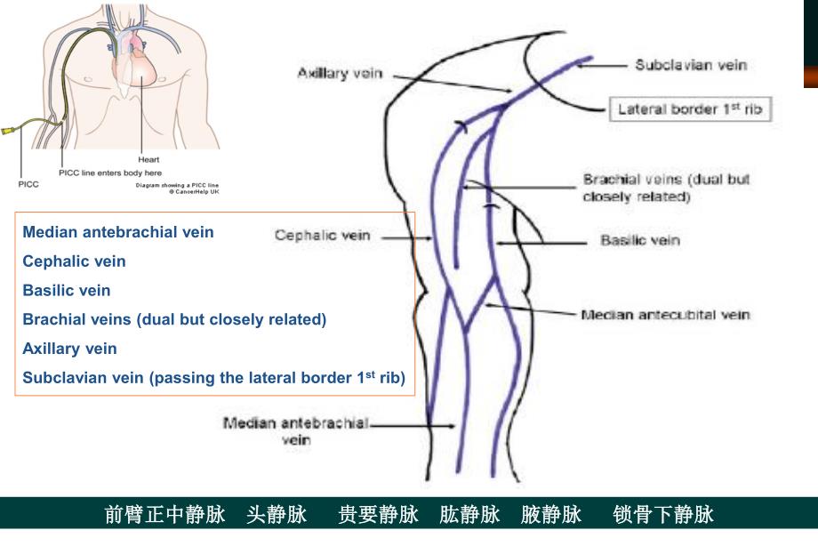 导管的影像学定位_第4页