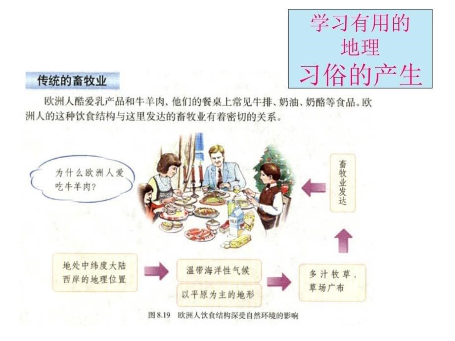 从理解到行动——对初中地理新课程标准、教科书的再认识_第5页