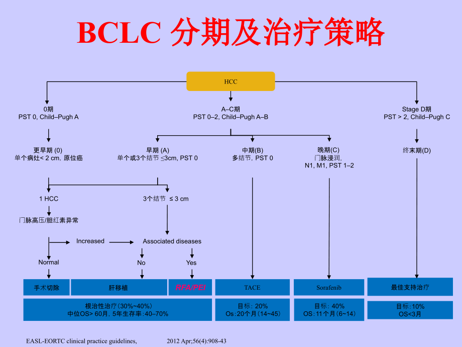 肝肿瘤射频消融治疗的最新进展_第3页