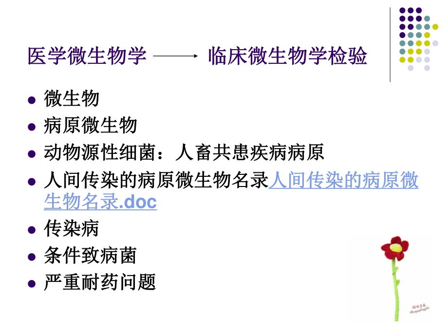 细菌鉴定仪的临床应用及注意事项_第2页