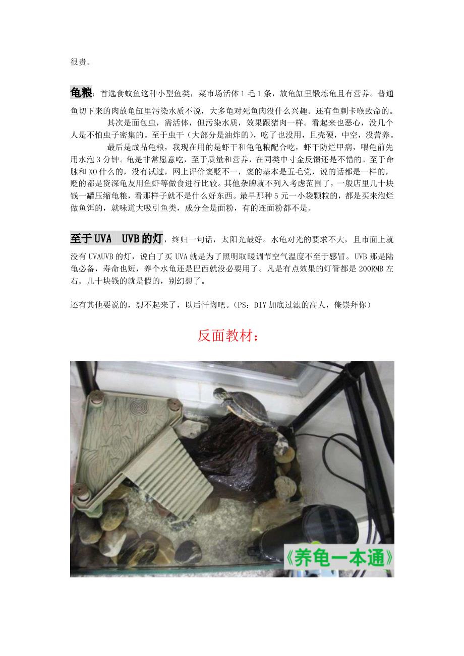 网购养龟设备,器材_第3页