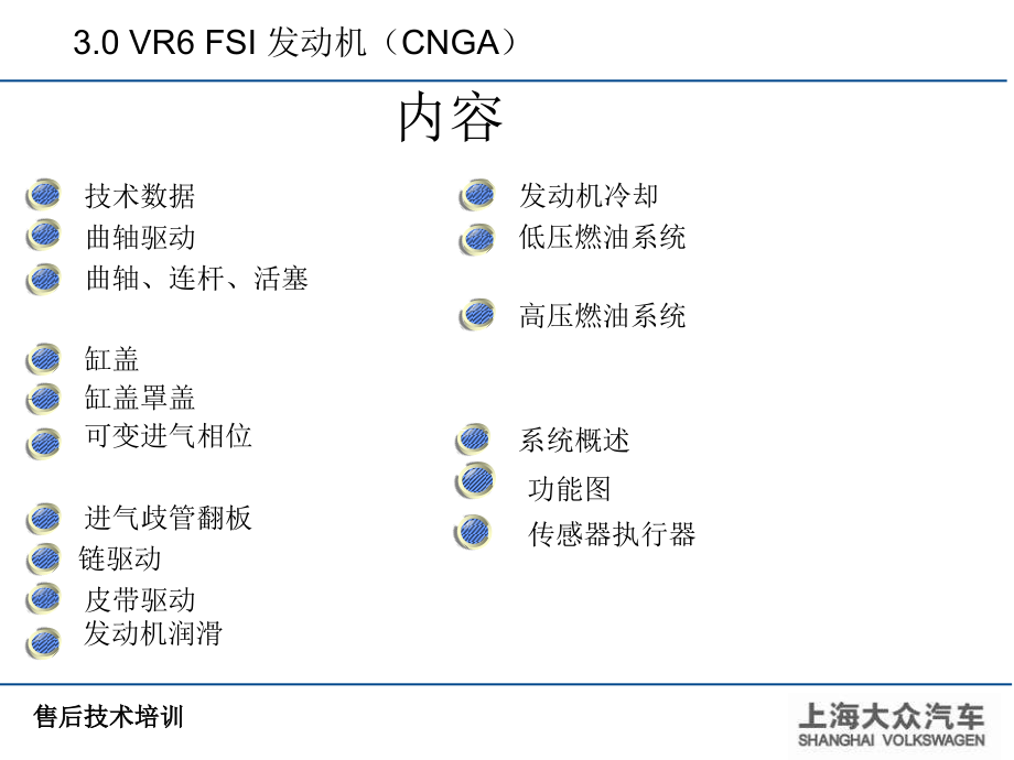 上海大众 3.0 VR6 FSI_第3页