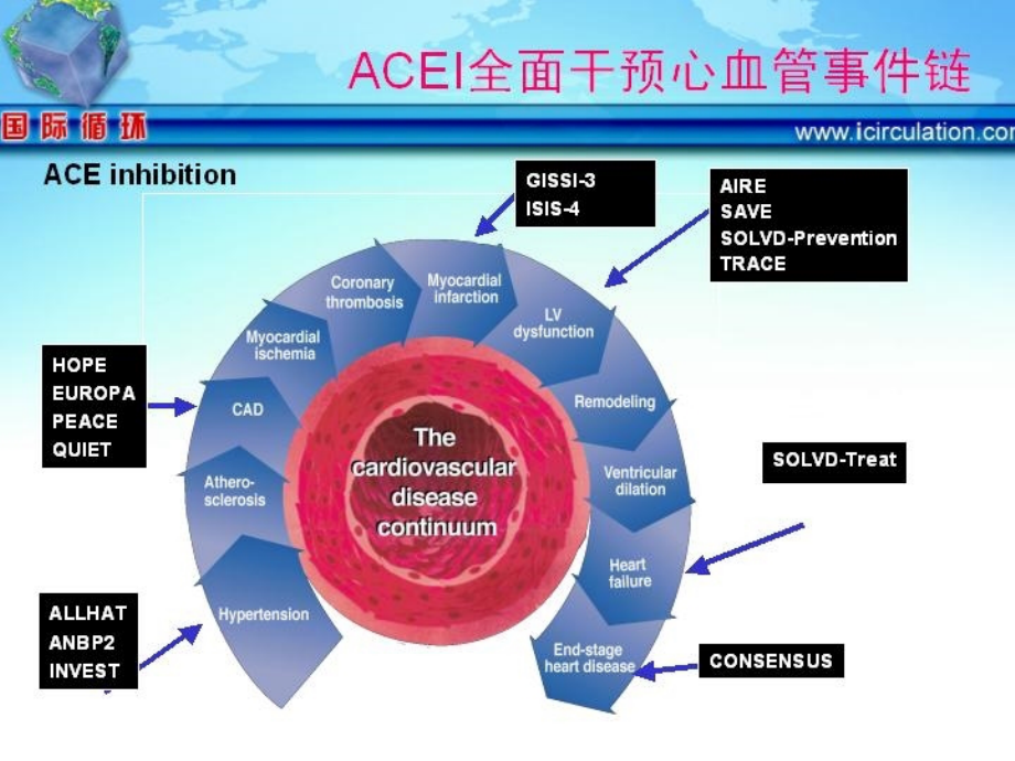 ACEI与冠心病指南_第4页