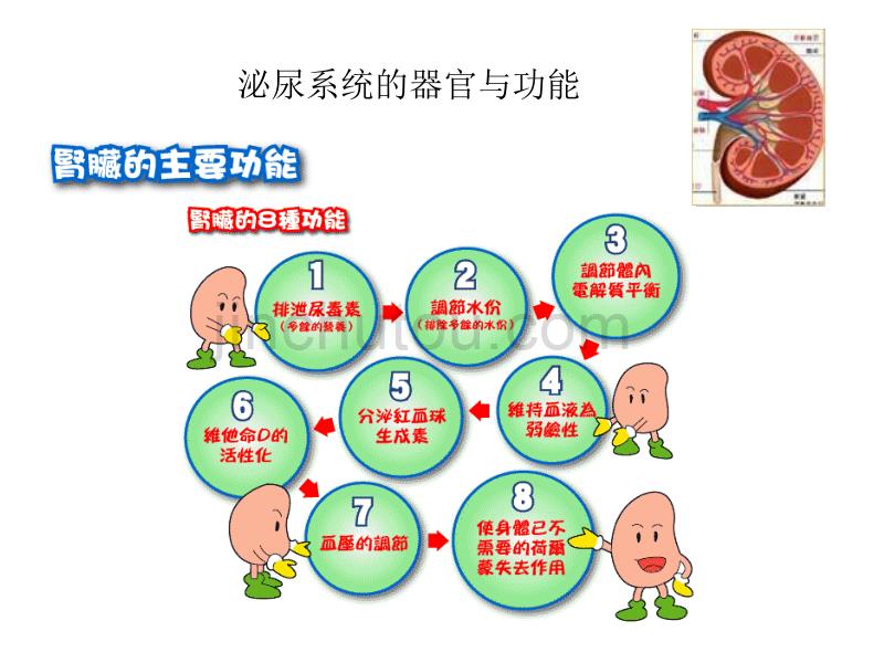 泌尿外科的研究领域_第5页