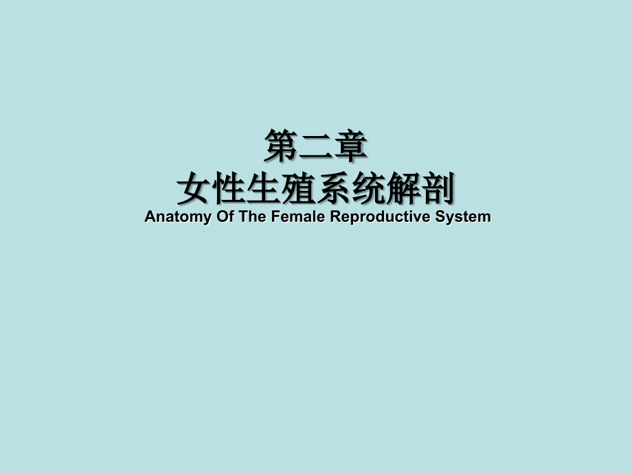 妇产科学——女性生殖系统解剖_第1页
