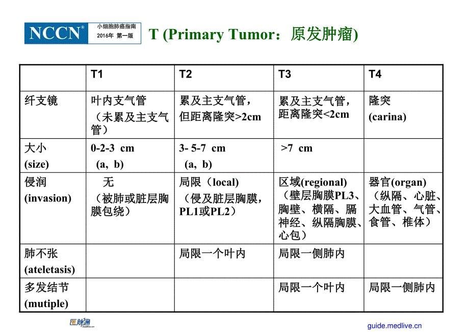 小细胞肺癌(SCLC)16年NCCN+V1指南解读_第5页