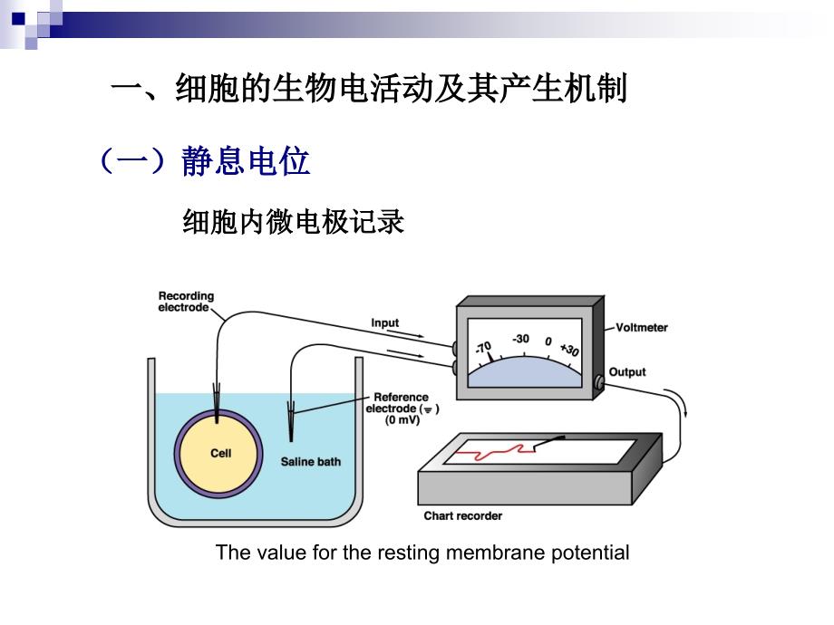 《生理学》细胞的基本功能——3细胞的电活动精品_第2页