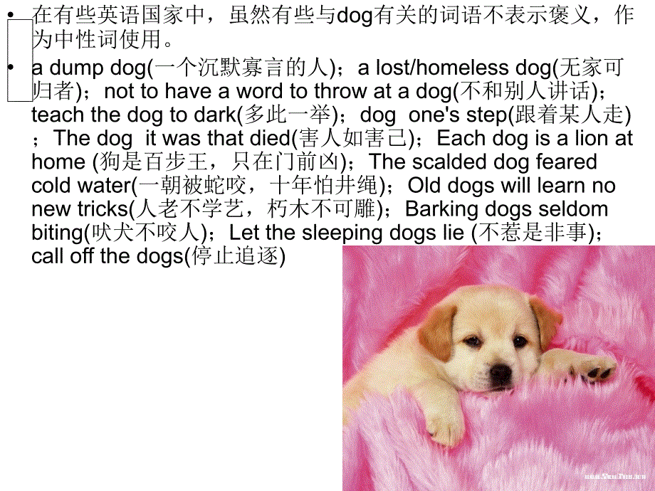 中西文化中dog差异_第3页