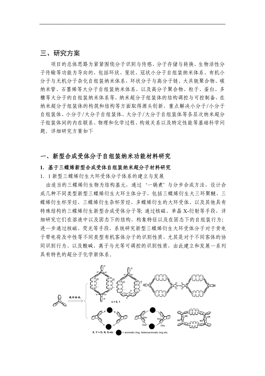 项目名称： 功能导向的纳米超分子组装体结构调控与可控制备 首席科学家 _第3页