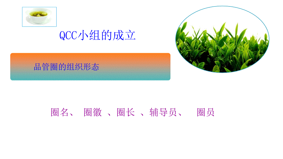 品管圈十大步骤全解析 (1)_第4页