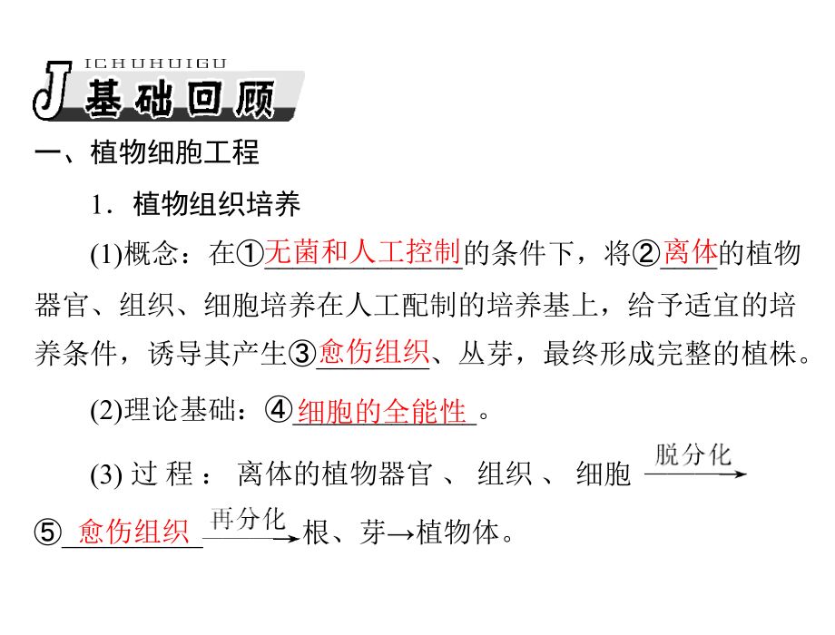 生物2013年高考复习课件：选修3 专题2 细胞工程_第3页