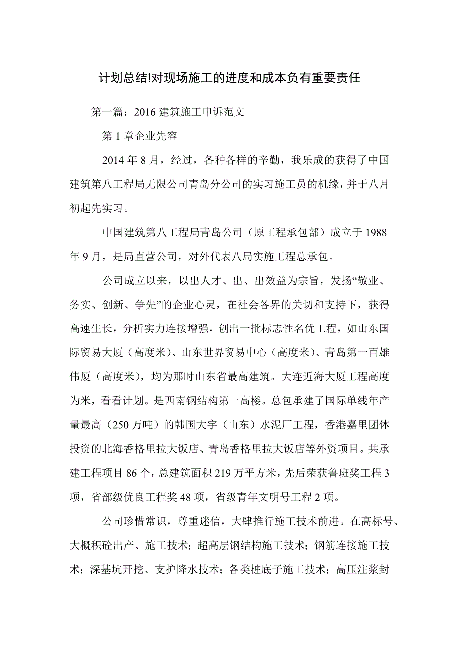 计划总结!对现场施工的进度和成本负有重要责任_第1页