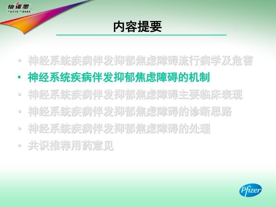 神经系统疾病伴发抑郁焦虑障碍诊断治疗专家共识 —11年版共识解读_第5页