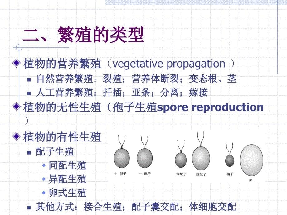 北师大植物生物学课件01_第5页