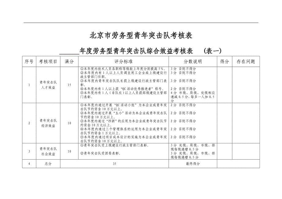 北京市劳务型青年突击队建队及考核标准_第5页