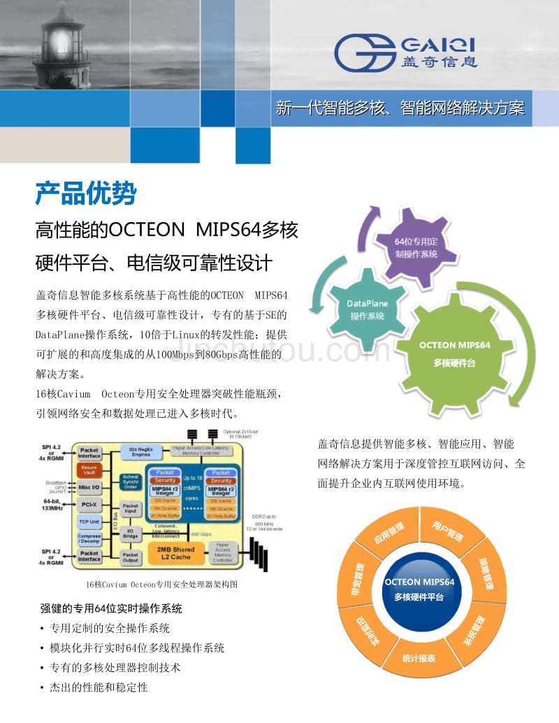 新一代智能多核智能网络解决方案_第1页