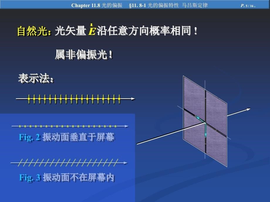 光的偏振特性 马吕斯定律_第5页