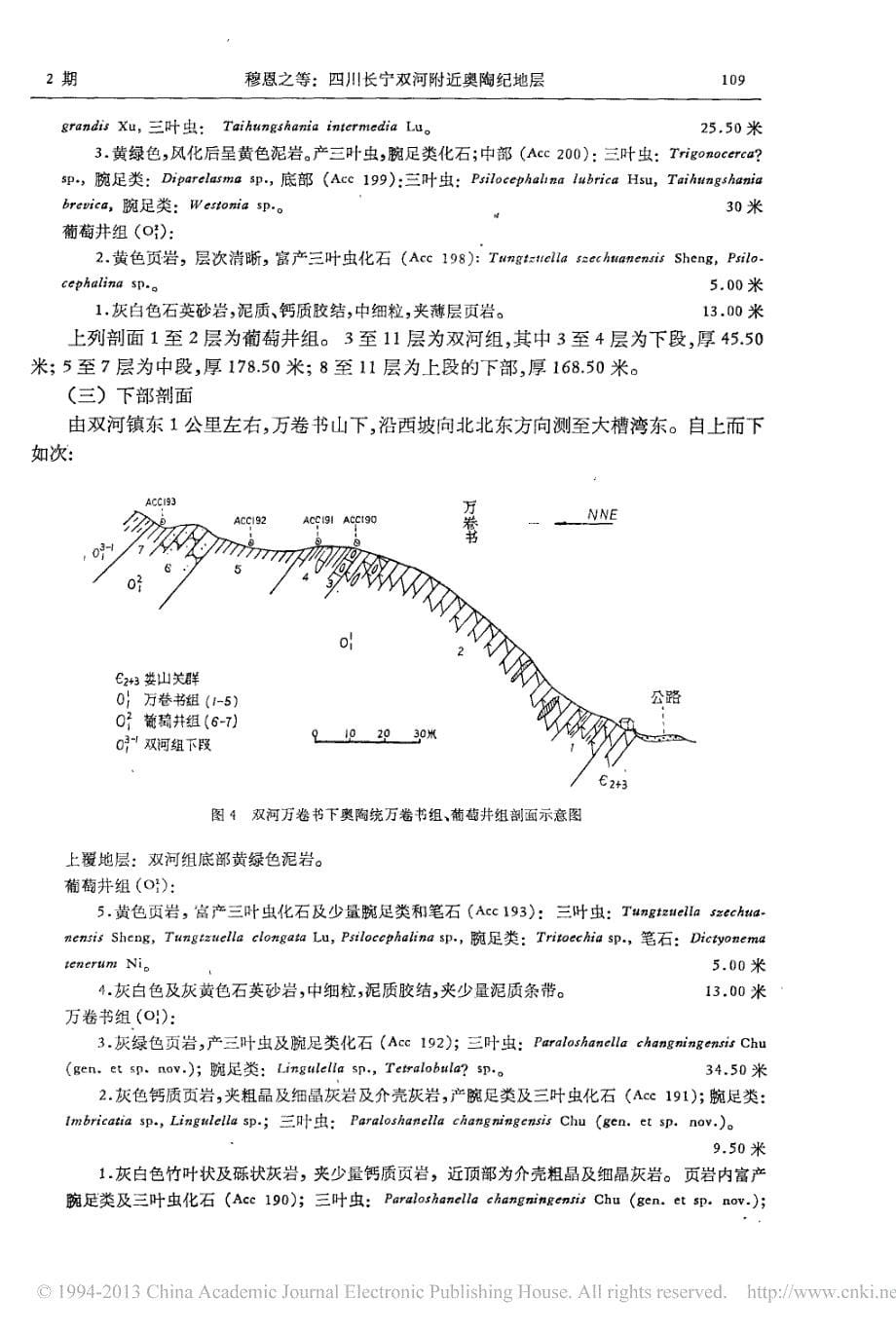 四川长宁双河附近奥陶纪地层_穆恩之_第5页