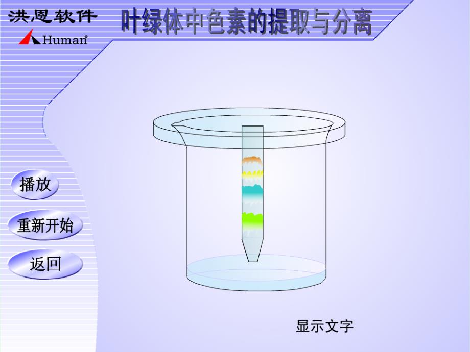 光与光合作用_第4页